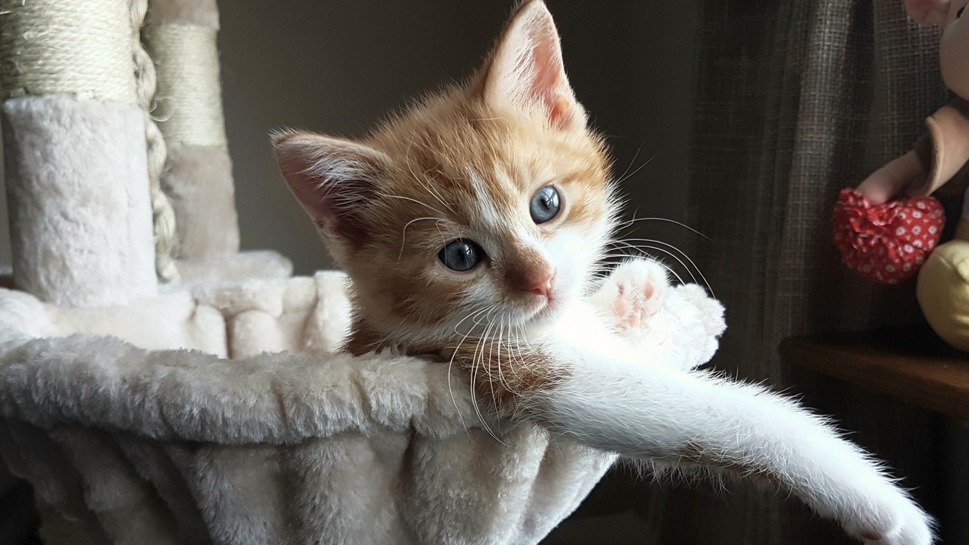 蓝桥鏖战,桑巴之殇,当欧冠焦点战遇上那场颠覆世界的翻盘