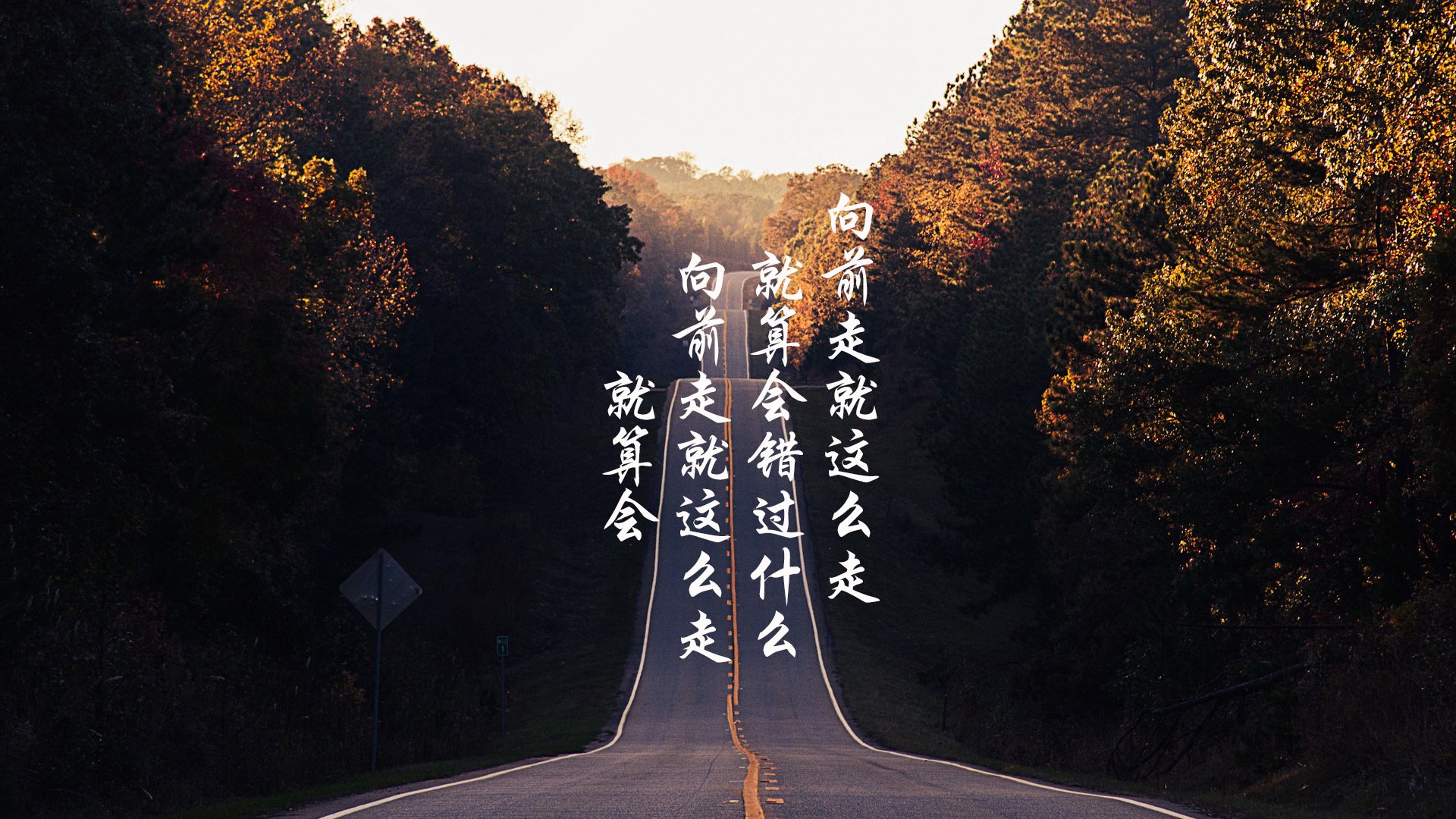 蒂亚戈觉醒！南美风暴席卷赛场，委内瑞拉火力全开压制新西兰